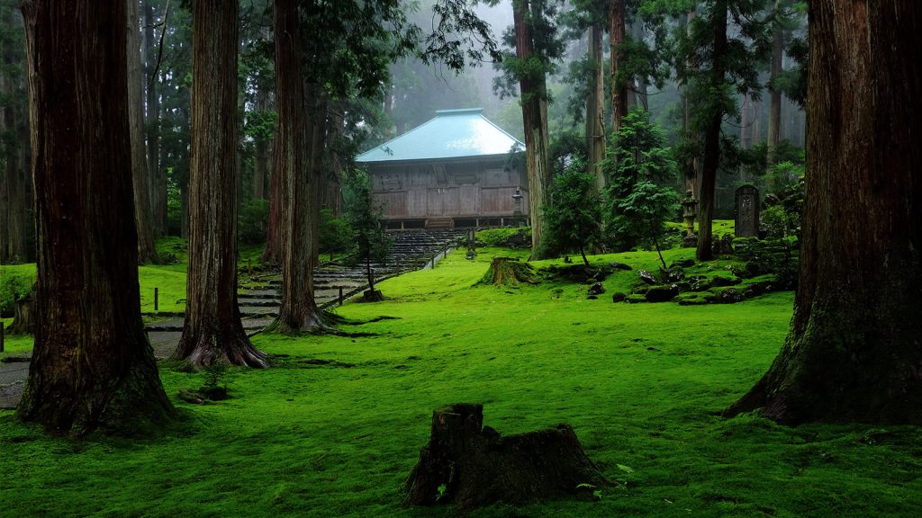 平泉寺白山神社　拝殿へ続く石畳の両側には見事な苔を見ることができる