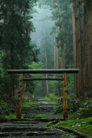 平泉寺白山神社 | 福井県勝山市平泉寺｜平泉寺白山神社